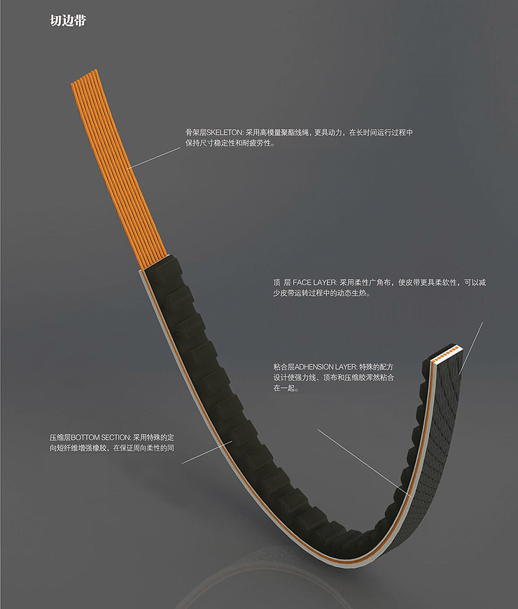 t1.jpg
